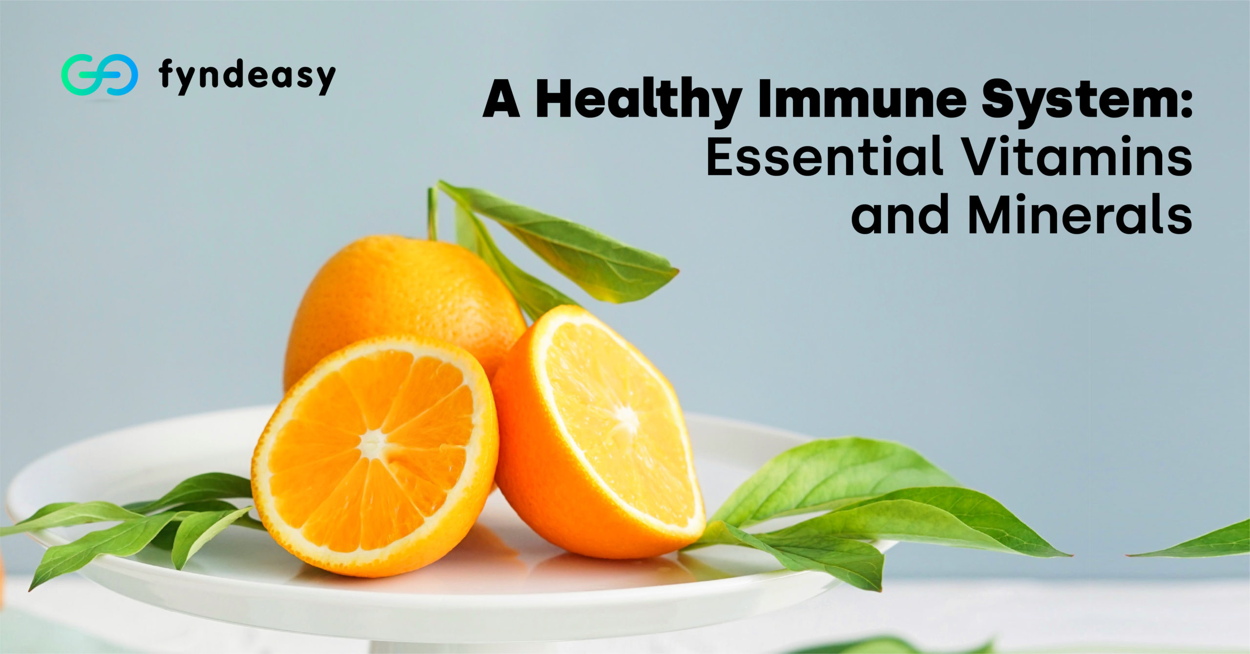 a healthy immune system: essential vitamins and minerals